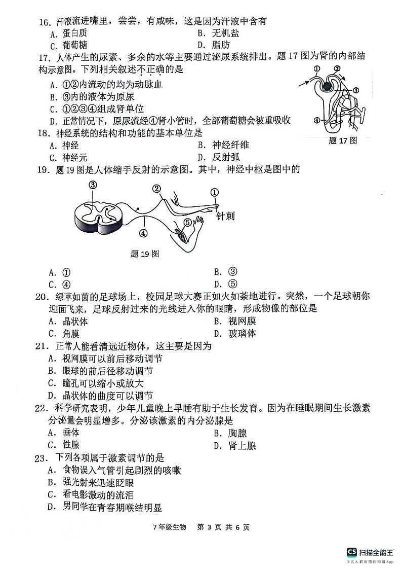 广东省惠州市惠东县2023-2024学年七年级下学期生物期末试题第3页