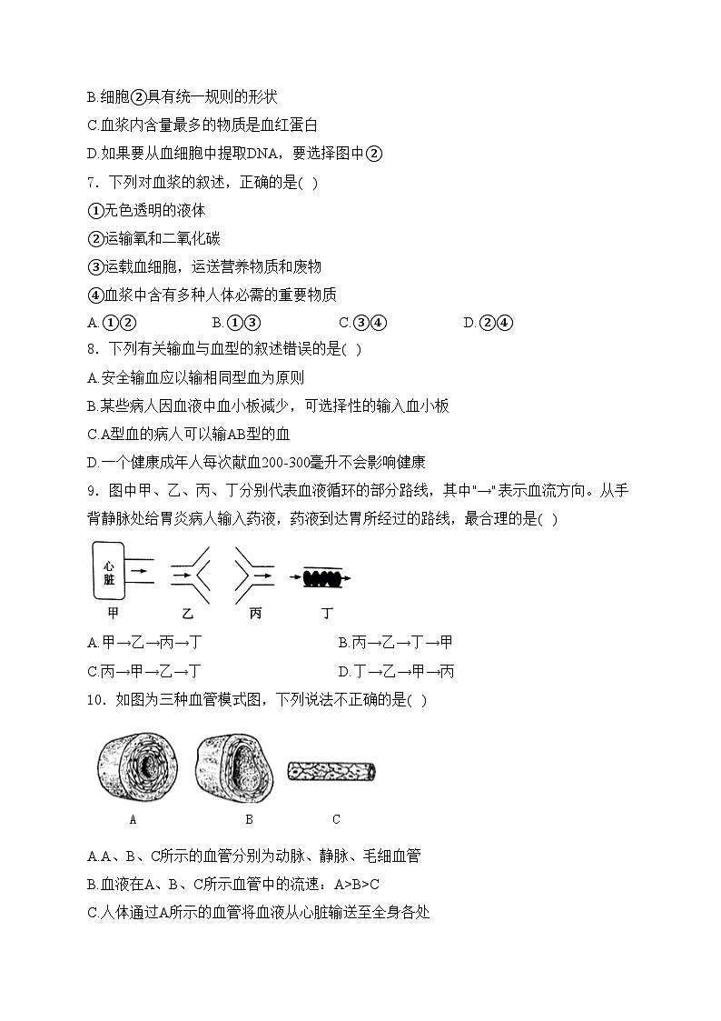 河南省安阳市林州市2023-2024学年七年级下学期3月月考生物试卷(含答案)第2页