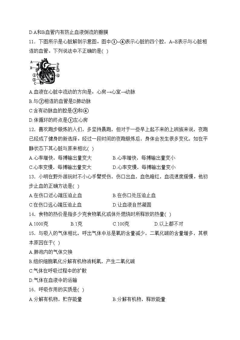 河南省安阳市林州市2023-2024学年七年级下学期3月月考生物试卷(含答案)第3页