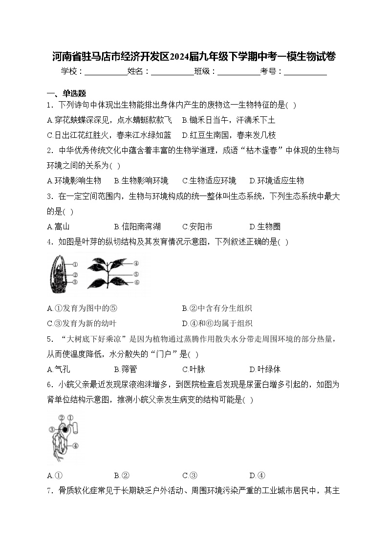 河南省驻马店市经济开发区2024届九年级下学期中考一模生物试卷(含答案)