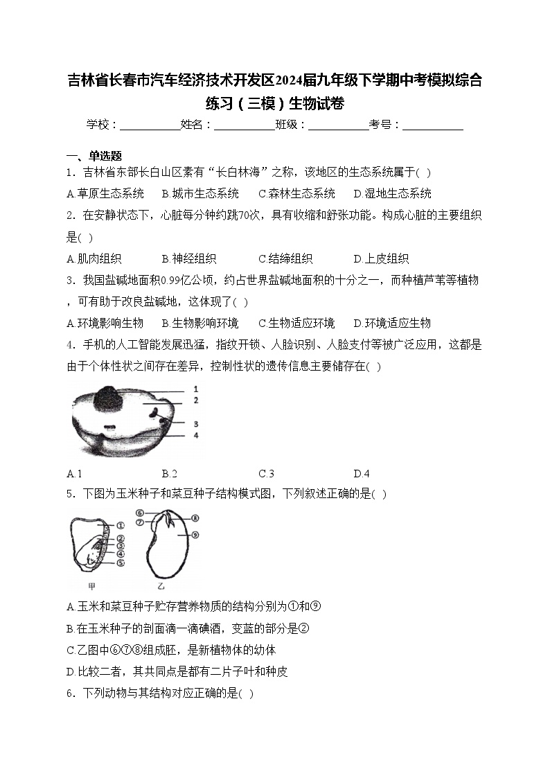 吉林省长春市汽车经济技术开发区2024届九年级下学期中考模拟综合练习（三模）生物试卷(含答案)