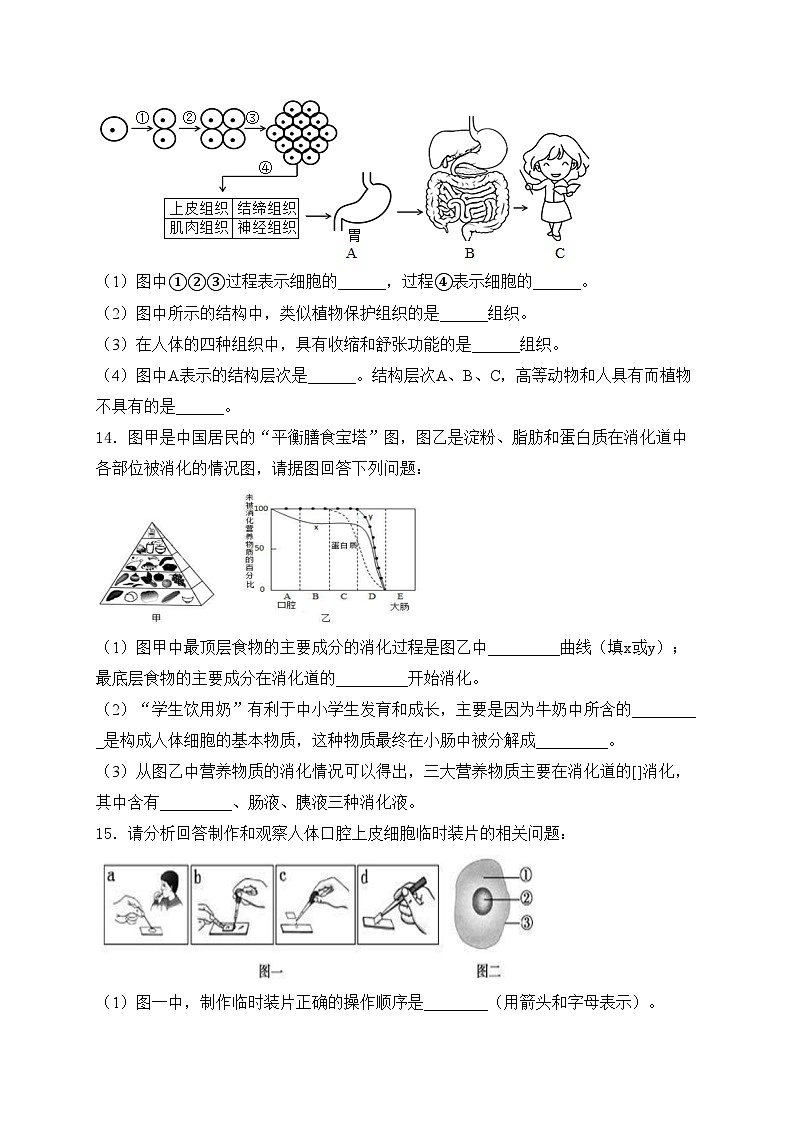 西宁市海湖中学2022-2023学年八年级下学期6月第二阶段考试生物试卷(含答案)03