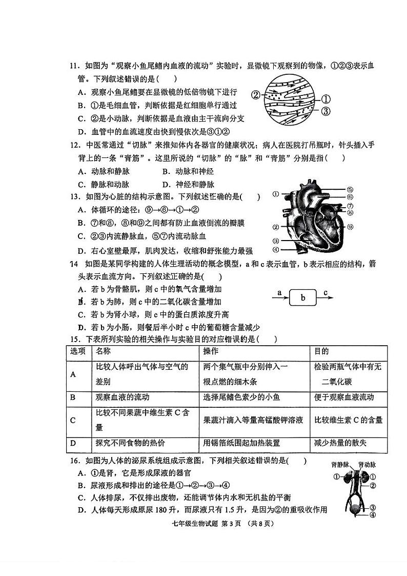 山东省济南市历城区2023-2024学年七年级下学期7月期末生物试题第3页