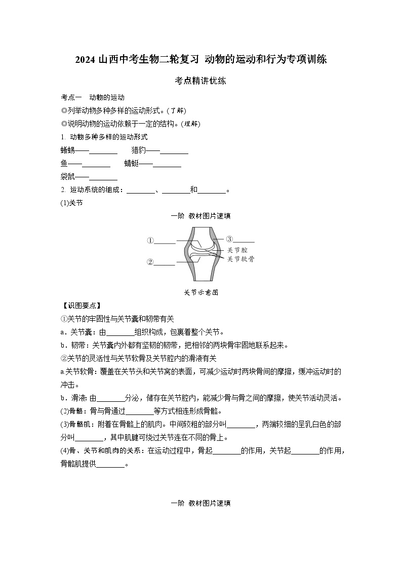 2024山西中考生物二轮复习 动物的运动和行为专项训练  (含答案)