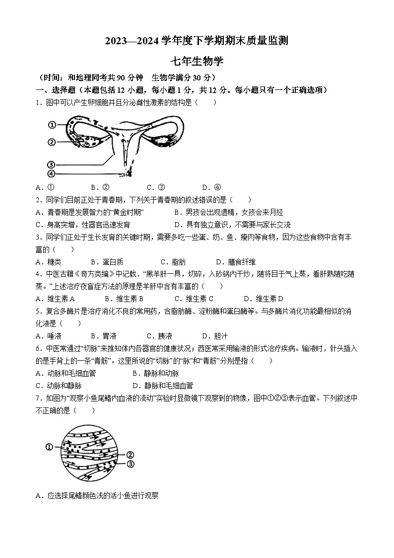 辽宁省沈阳市铁西区2023-2024学年七年级下学期期末考试生物试卷(无答案)01
