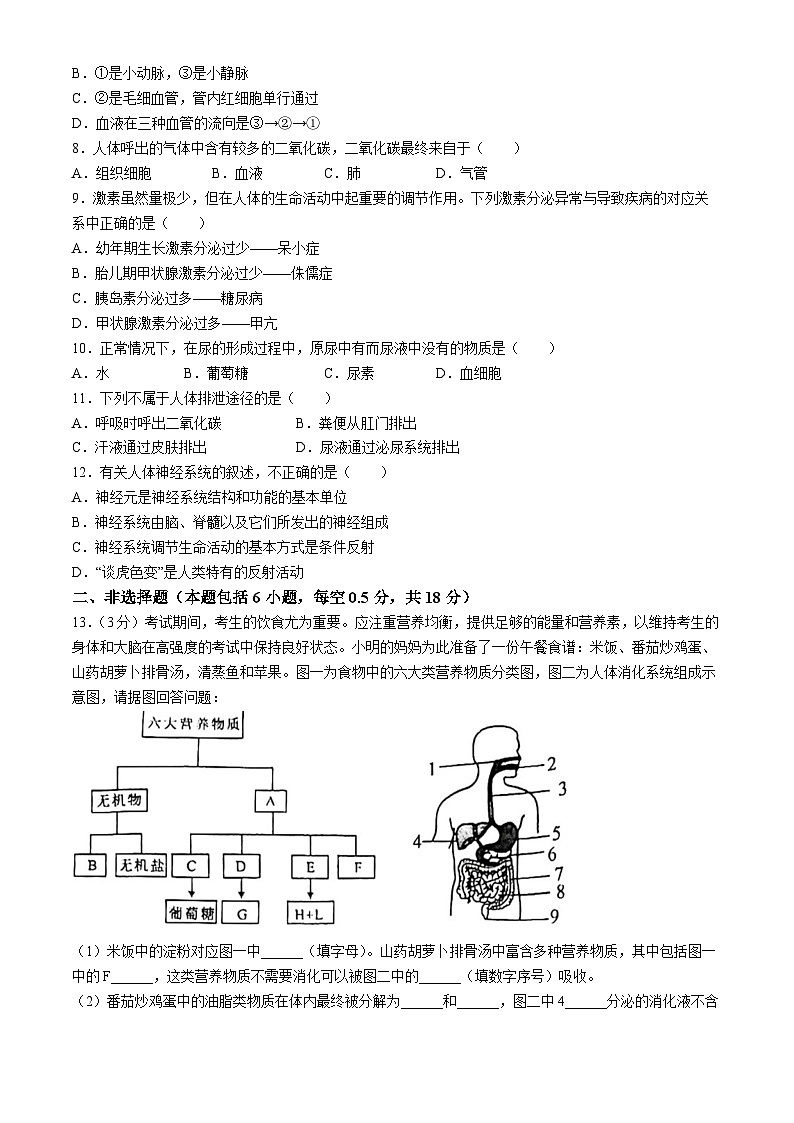 辽宁省沈阳市铁西区2023-2024学年七年级下学期期末考试生物试卷(无答案)02