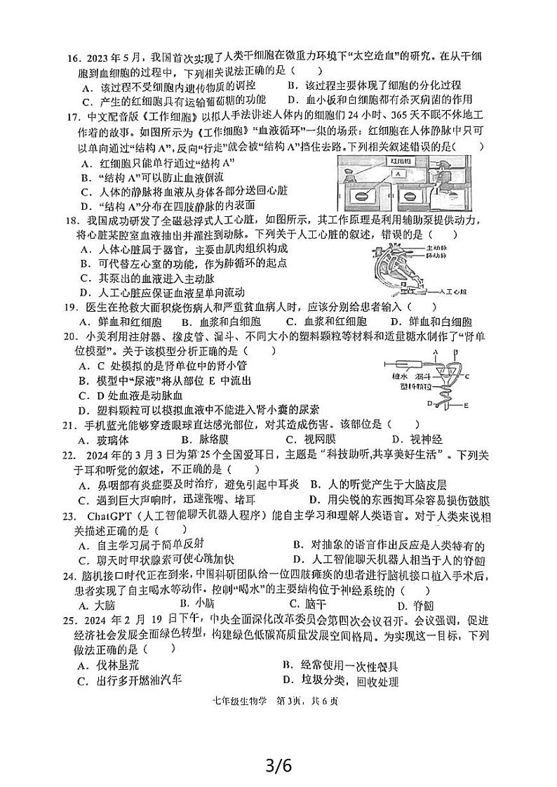 湖南省益阳市沅江市2023-2024学年七年级下学期7月期末生物试题第3页