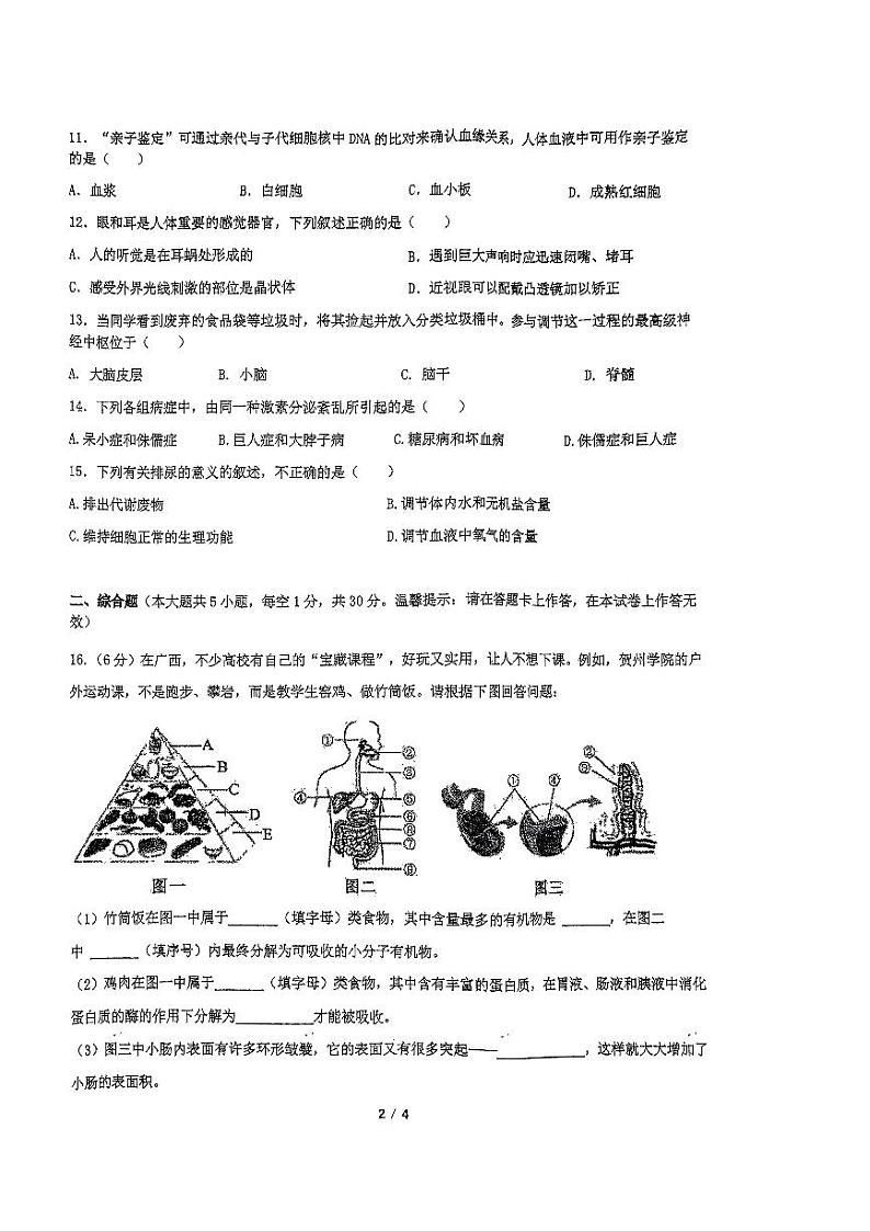 广西南宁市天桃实验学校2023-2024学年七年级下学期7月期末生物试题第2页