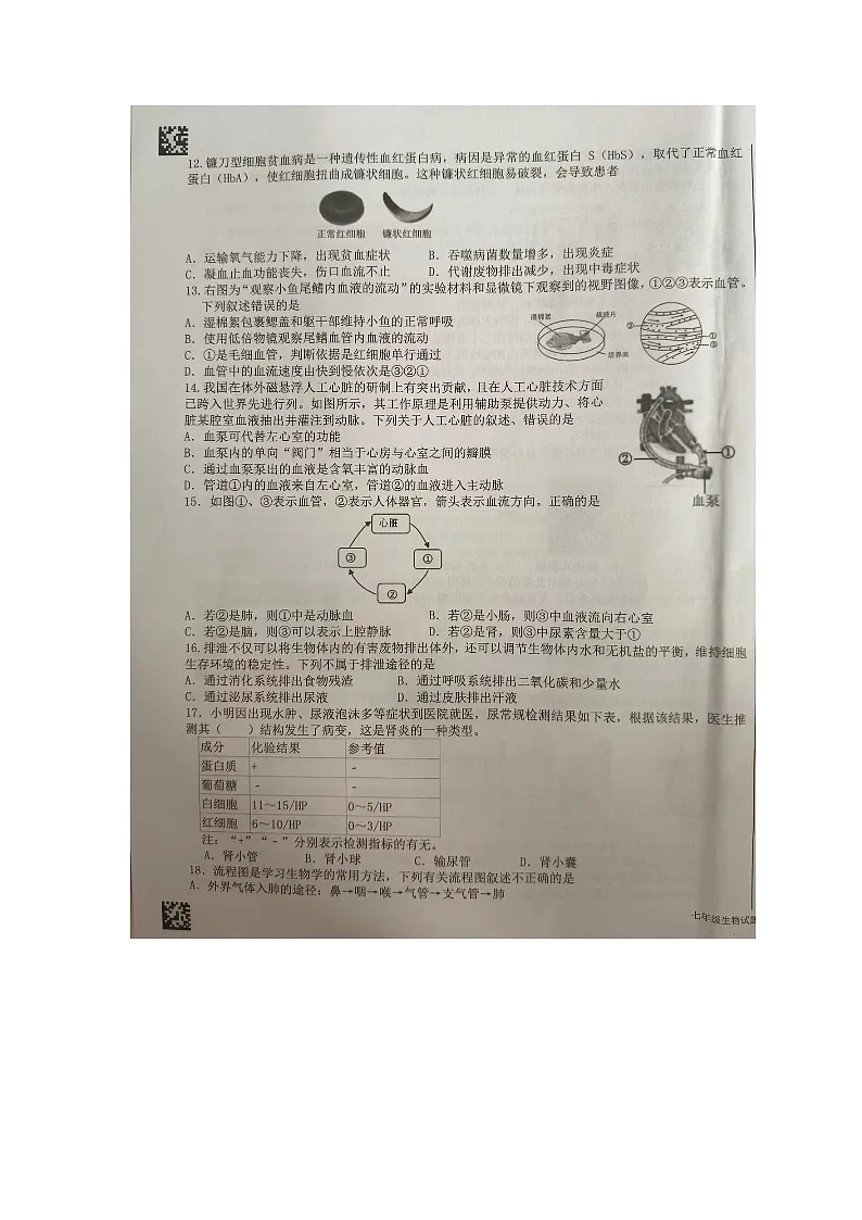 山东省临沂市蒙阴县2023-2024学年七年级下学期期末考试生物试题第3页