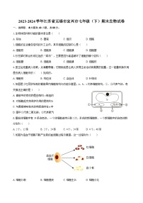 2023-2024學(xué)年江蘇省無錫市宜興市七年級（下）期末生物試卷（含答案）