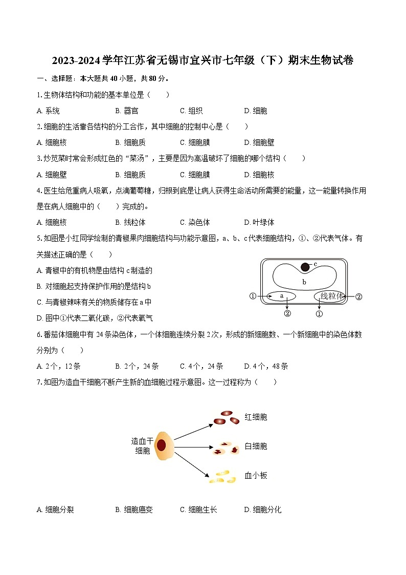 2023-2024学年江苏省无锡市宜兴市七年级(下)期末生物试卷(含答案)第1页