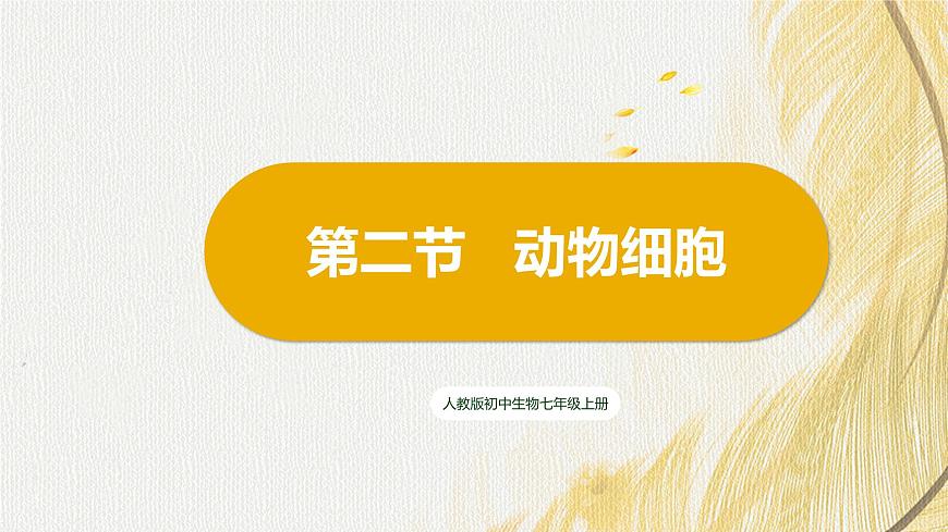 人教版 初中生物七年級(jí)上冊(cè)1.2.3動(dòng)物細(xì)胞課件+視頻第3頁