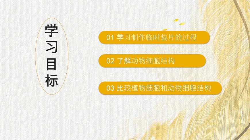人教版 初中生物七年級(jí)上冊(cè)1.2.3動(dòng)物細(xì)胞課件+視頻第4頁
