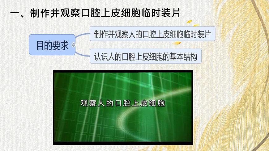 人教版 初中生物七年級(jí)上冊(cè)1.2.3動(dòng)物細(xì)胞課件+視頻第7頁