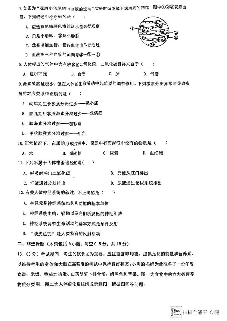 辽宁省沈阳市铁西区2023-2024学年七年级下学期期末考试生物试卷第2页