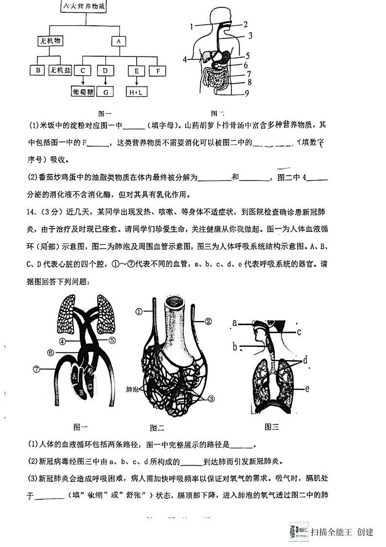 辽宁省沈阳市铁西区2023-2024学年七年级下学期期末考试生物试卷第3页