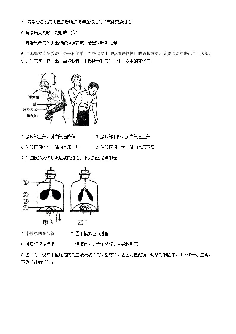 吉林省吉林市吉林市第七中学2023--2024学年七年级下学期期末考试生物试题(无答案)第2页