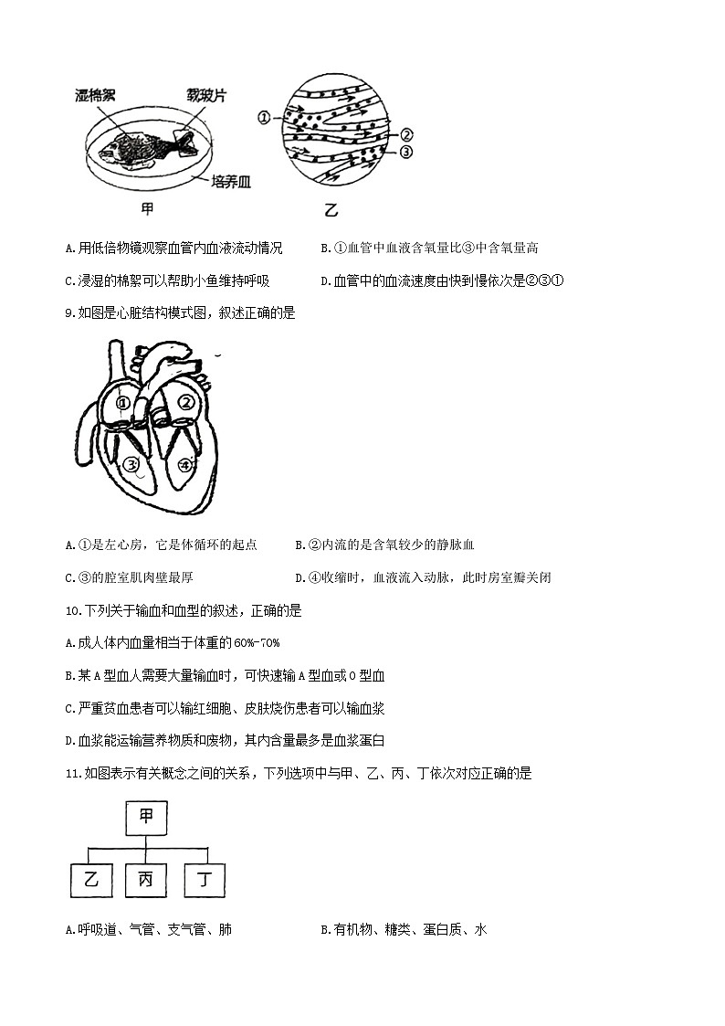 吉林省吉林市吉林市第七中学2023--2024学年七年级下学期期末考试生物试题(无答案)第3页