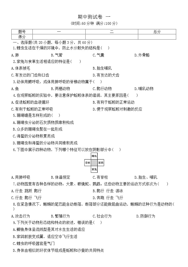 2023-2024學(xué)年人教版生物八年級(jí)上冊(cè)期中模擬測(cè)試卷 一第1頁(yè)