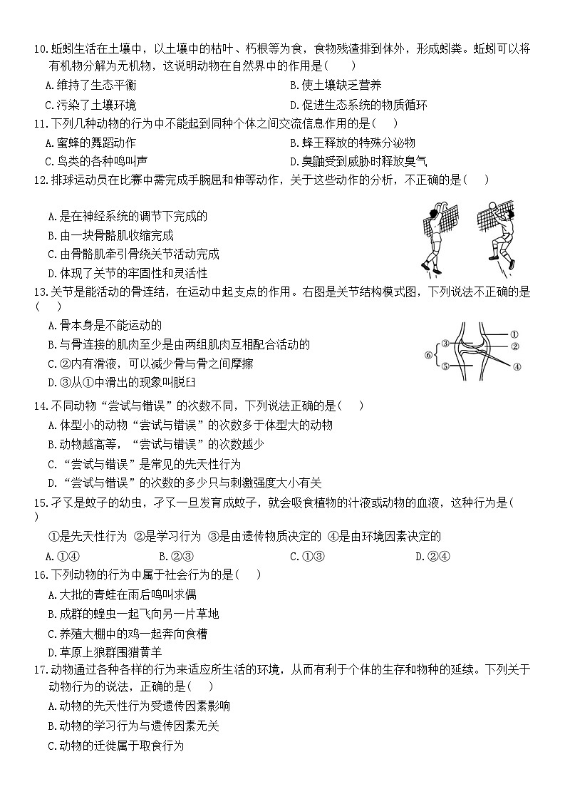 2023-2024學(xué)年人教版生物八年級(jí)上冊(cè)期中模擬測(cè)試卷 一第2頁(yè)