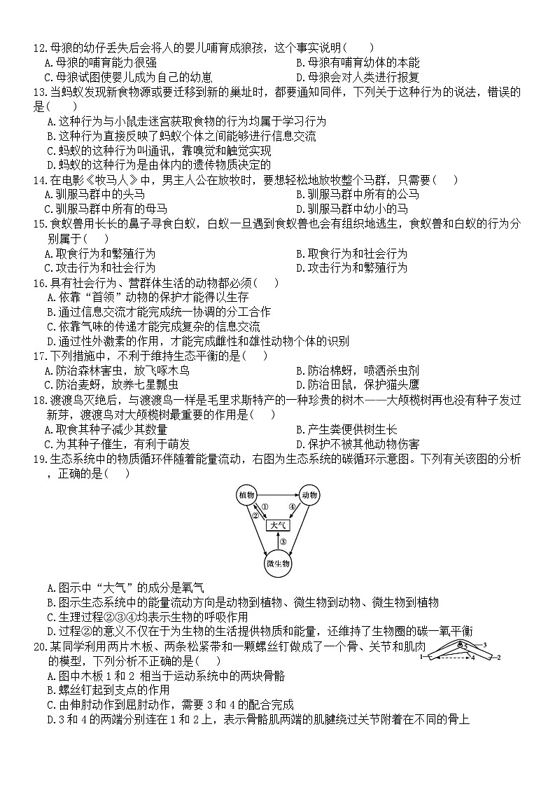 2023-2024学年人教版生物八年级上册期中模拟测试卷02