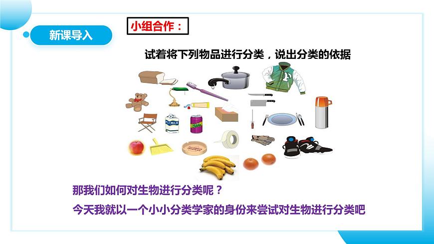 人教版初中生物七年級(jí)上冊(cè)2.4.1《嘗試對(duì)生物進(jìn)行分類》課件第5頁
