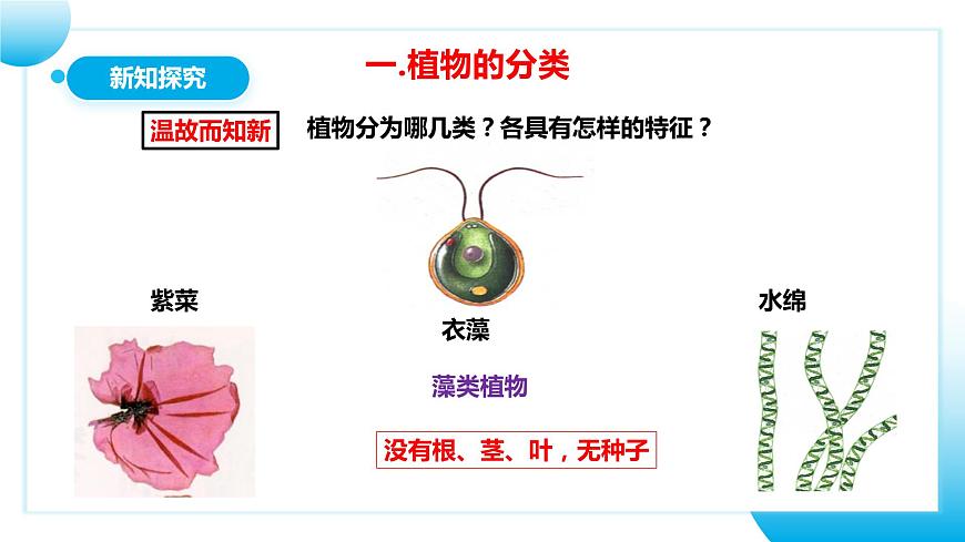 人教版初中生物七年級(jí)上冊(cè)2.4.1《嘗試對(duì)生物進(jìn)行分類》課件第8頁