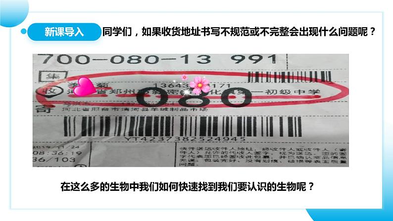 【核心素养目标】人教版初中生物七年级上册2.4.2《从种到界》课件+视频+教学设计+同步分层练习(含答案)03