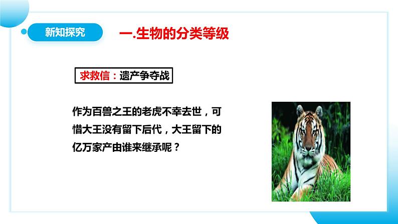 【核心素养目标】人教版初中生物七年级上册2.4.2《从种到界》课件+视频+教学设计+同步分层练习(含答案)06