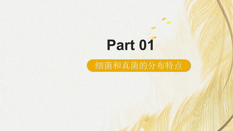 人教版 初中生物七年级上册2.3.1微生物的分布课件+视频05