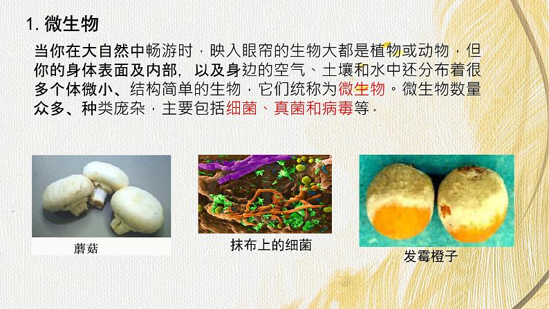 人教版 初中生物七年级上册2.3.1微生物的分布课件+视频06