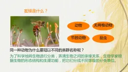 人教版 初中生物七年级上册2.4.2从种到界课件+视频