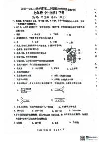广东省湛江市雷州市2023-2024学年七年级下学期7月期末生物试题
