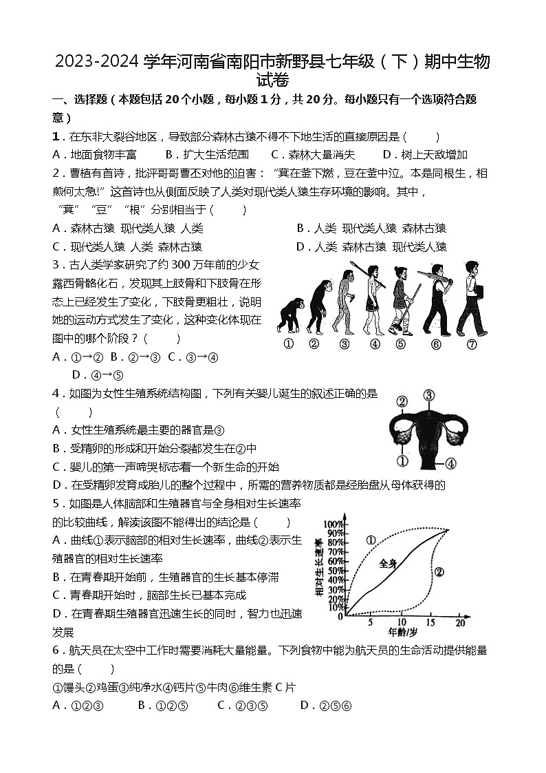 2023-2024学年河南省南阳市新野县七年级(下)期中生物试卷第1页