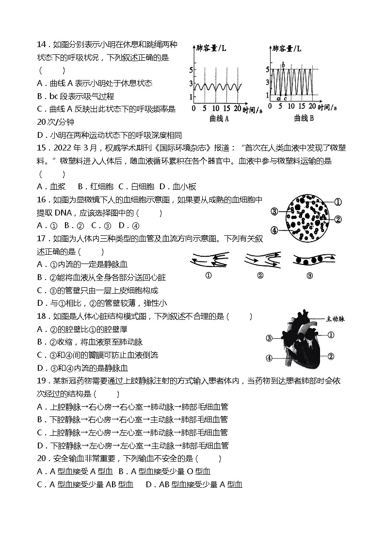 2023-2024学年河南省南阳市新野县七年级(下)期中生物试卷第3页