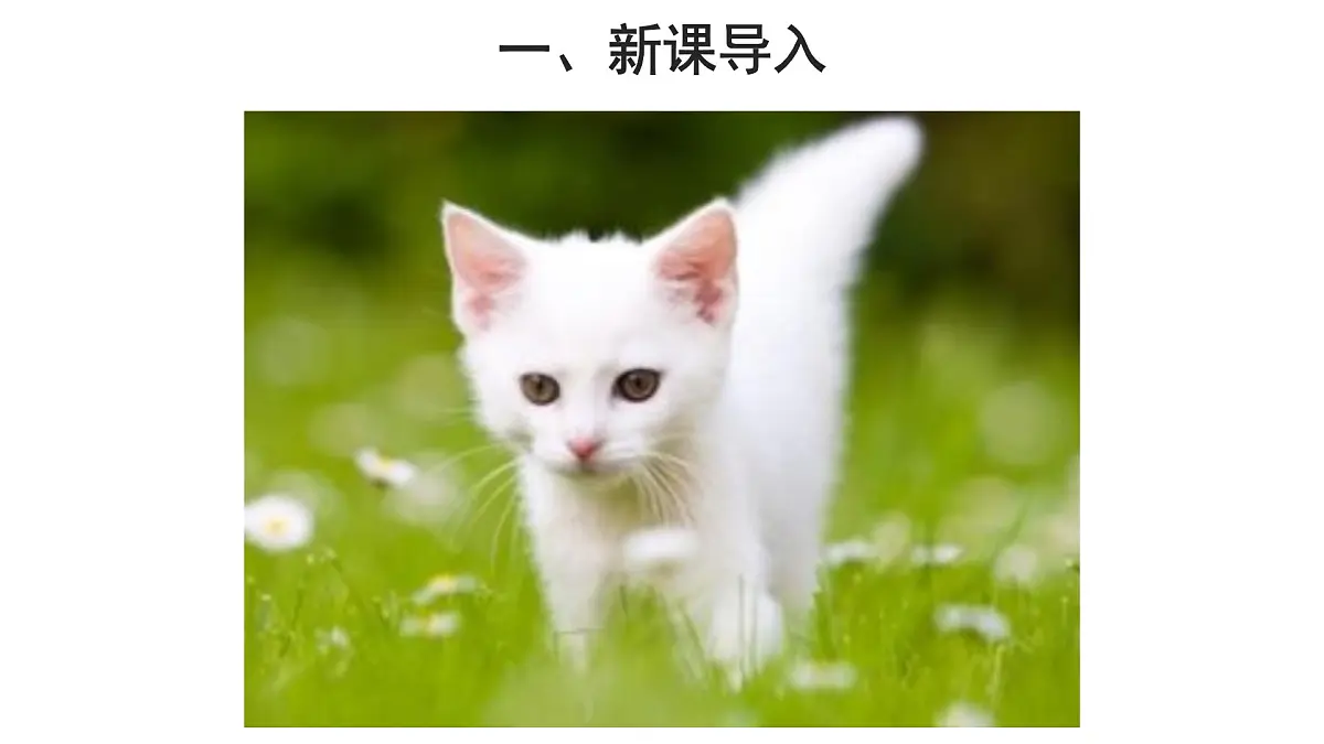 6.1.1尝试对生物进行分类 第2课时课件 2024年初中秋季人教版生物八年级上册第3页