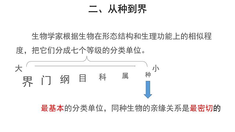 6.1.2 从种到界课件2024年初中秋季人教版生物八年级上册06