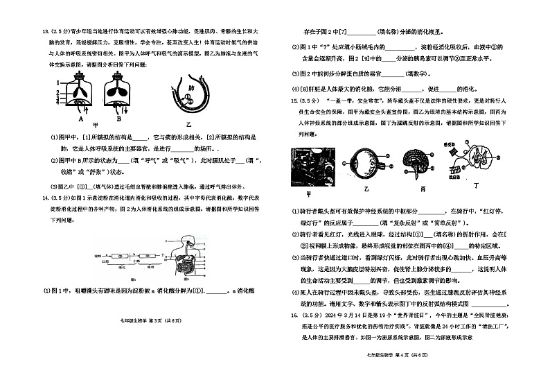 辽宁省大连市中山区2023-2024学年七年级下学期期末生物试题第2页