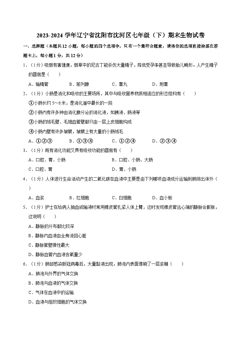 2023-2024学年辽宁省沈阳市沈河区七年级(下)期末生物试卷01