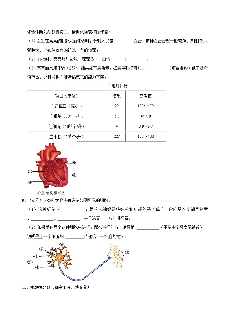 2023-2024学年四川省泸州市合江县七年级(下)期末生物模拟试卷第3页