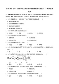 2023-2024學(xué)年廣西南寧市天桃實(shí)驗(yàn)學(xué)校教育集團(tuán)七年級（下）期末生物試卷