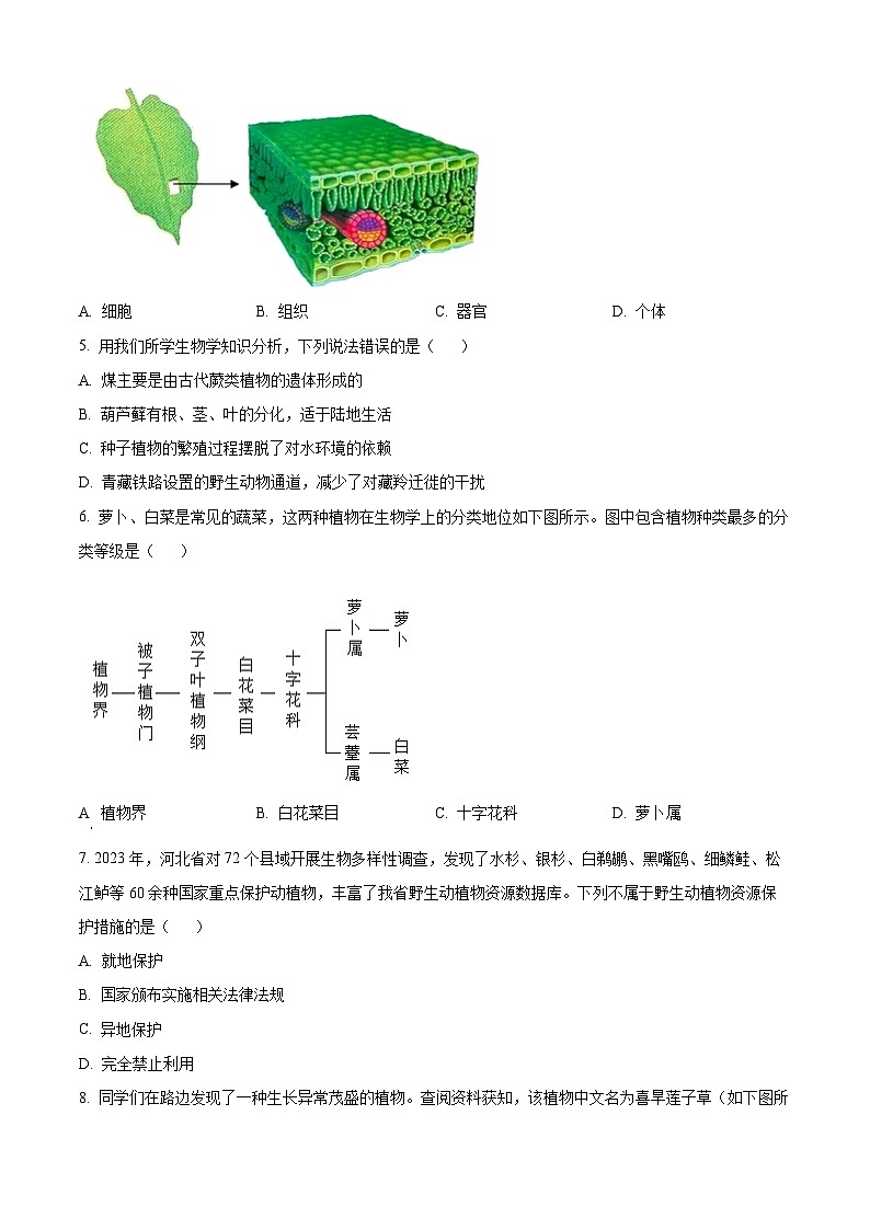 2024年河北省八年级中考生物试卷02
