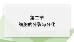 1.2.2 细胞的分裂与分化 课件2024年初中秋季济南版生物七年级上册