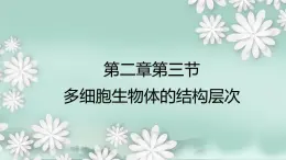 1.2.3  多细胞生物体的结构层次  课件2024年初中秋季济南版生物七年级上册