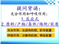 2.1.5 绿色植物在生物圈中的作用课件2024年初中秋季济南版生物七年级上册