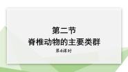 生物七年级上册第二节 脊椎动物的主要类群图文课件ppt