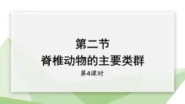 2.2.2 脊椎动物的主要类群 课时4 课件2024年初中秋季济南版生物七年级上册