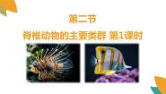 初中济南版第二节 脊椎动物的主要类群图文课件ppt