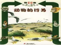 2.2.3动物的行为课件2024年初中秋季济南版生物七年级上册