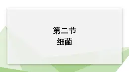 2.3.2 细菌 课件 2024年初中秋季济南版生物七年级上册